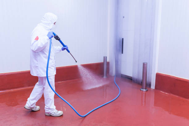 Pre-Holiday Cleaning in Newton, TX
